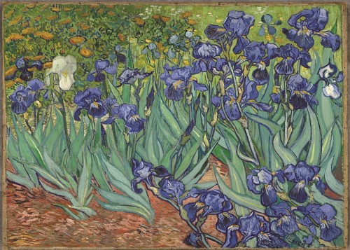 van gogh irysy 50x70.jpg