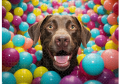 wytwory_puzzle_zhumorem1d_cale.png