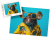 wytwory_puzzle_zhumorem1j500.png