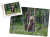wytwory_xtatryx10.png