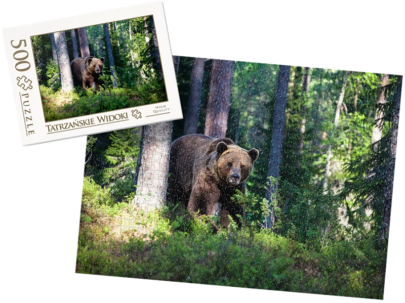 PUZZLE - Tatrzańskie widoki wz37 - z pudełkiem
