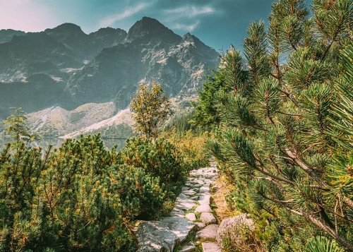 wytwory_xtatry16.jpg