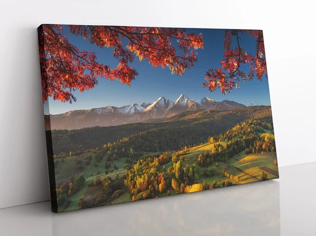 wytwory_xtatry14_obraz.jpg