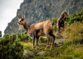 wytwory_xtatry1.jpg