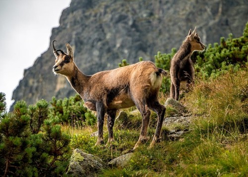 wytwory_xtatry1.jpg