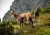 wytwory_xtatry1.jpg