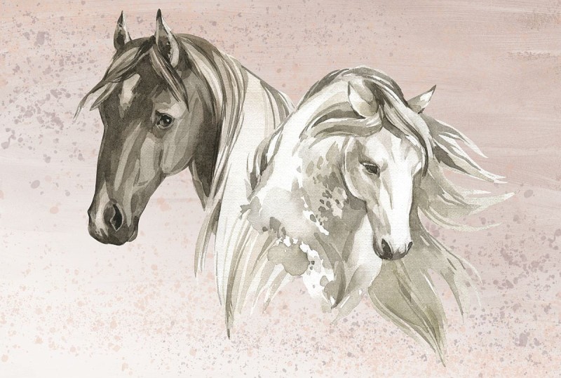 Fototapeta CABALLO - portret dwóch koni - NA WYMIAR