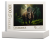 wytwory_puzzle_dino1a_pudelko.png