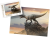 wytwory_puzzle_dino1f.png