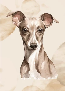 wytwory_obraz_puppies_1_50x70.jpg