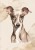 wytwory_obraz_puppies_1_50x70.jpg