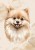 wytwory_obraz_puppies_2_50x70.jpg