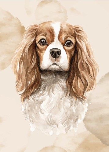 wytwory_obraz_puppies_7_50x70.jpg