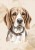 wytwory_obraz_puppies_9_50x70.jpg