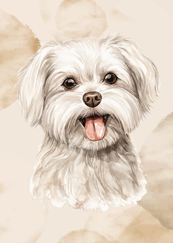 wytwory_obraz_puppies_13_50x70.jpg