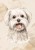 wytwory_obraz_puppies_13_50x70.jpg