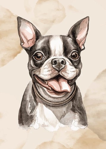 wytwory_obraz_puppies_14_50x70.jpg