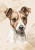 wytwory_obraz_puppies_15_50x70.jpg