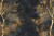 wytwory_roslinnoscitapeta_13_wzor.jpg