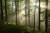 wytwory_tapeta_rsl24.jpg