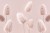 wytwory_pluma_wzor.jpg
