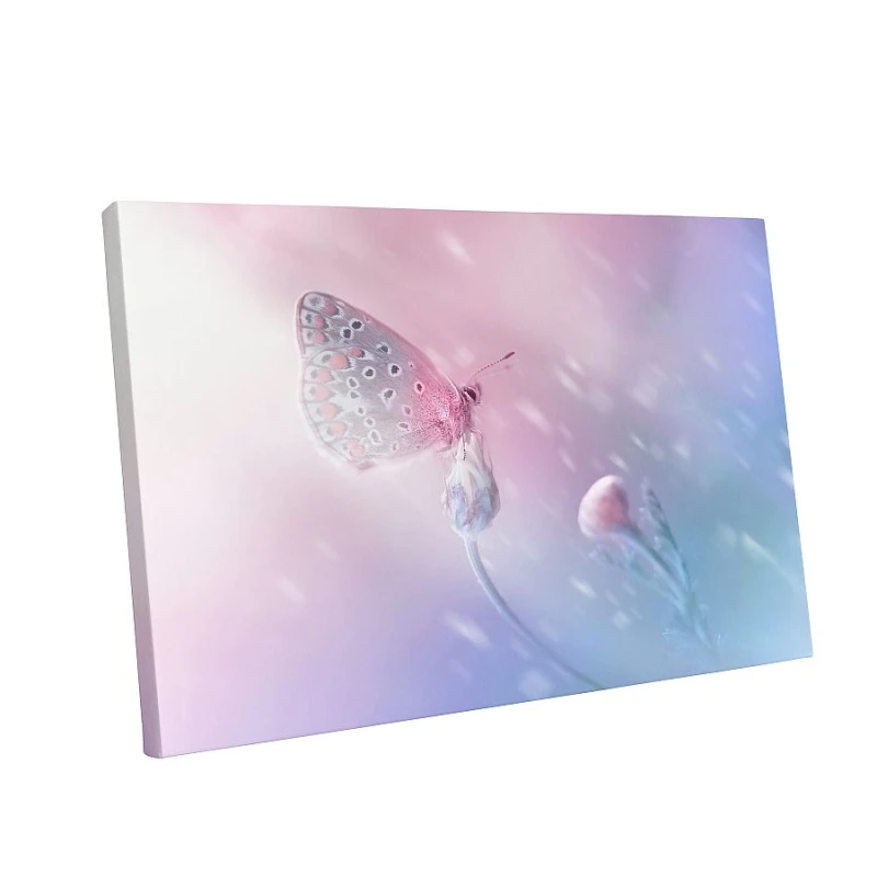 OBRAZ PASTELOWY MOTYL ŁĄKA DO SALONU 120*80