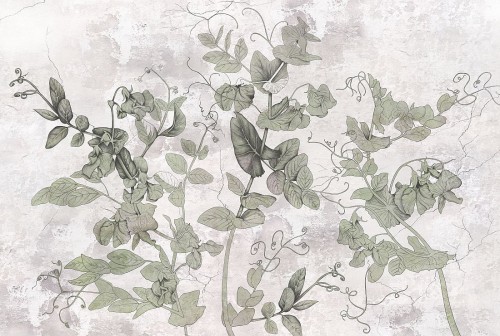 wytwory_tapeta_fototpatea_valpolicella_wloskie_winorosla_pnacza_wloski_klimat_dolce_far_niente_na_wymiar_do_salonu_wzor.jpg