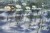 wytwory_acasia_wz3_tapeta_malowana_watercolor_salon_sypialnia_spokoj_woda_lilie_wodne_dekoracja_domu_nowoczesne_wnetrze_dekor_wzor_lilie_wodne_nenufary.jpg