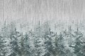 wytwory_swierki_spod_giewontu_podhalanski_las_we_mgle_podhalanska_izba_wystroj_wnetzr_pokoje_do_wynajecia_nocleg_w_gorach_spokoj_wypoczyenk_wakacje_w_gorach_wzor_wz1.jpg
