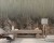 wytwory_swierki_spod_giewontu_podhalanski_las_we_mgle_podhalanska_izba_wystroj_wnetzr_pokoje_do_wynajecia_nocleg_w_gorach_spokoj_wypoczyenk_wakacje_w_gorach_wzor_wz2_salon.jpg