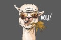 wytwory_lama_wzor_teen_vibes_1.jpg