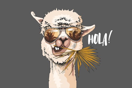 wytwory_lama_wzor_teen_vibes_1.jpg
