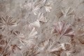 wytwory_ginkgo_milozab_japonski_listki_fototapeta_do_salonu_sypialni_wzor3.jpg