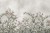 wytwory_edera_subtelny_ogrod_roslin_bluszcze_w_ogrodzie_botanica_do salonu_sypialni_wyciszenie_inspiracja_wzor.jpg