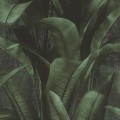 TAPETA-416237-BACK-TO-NATURE.jpg