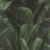 TAPETA-416237-BACK-TO-NATURE.jpg