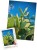 wytwory_puzzle_maltanskie_kaktusy_pudelko_produkt_a.jpg