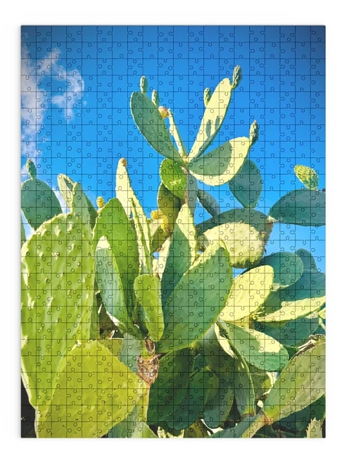 wytwory_puzzle_maltanskie_kaktusy_pudelko_produkt_1_a.jpg