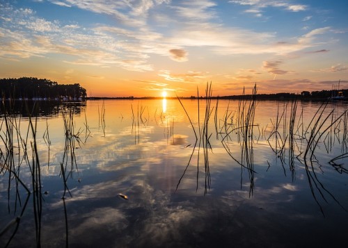 polska_2_proporcja.jpg
