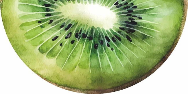 kiwi.jpg