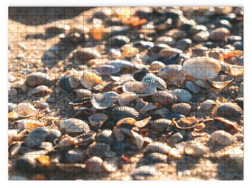 wytwory_puzzle_muszelki_produkt_1.jpg