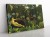 wytwory_obraz_Henri_Rousseau_Sen_1.jpg