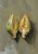 wytwory_obraz_la_belle_vie_40_proporcja.jpg