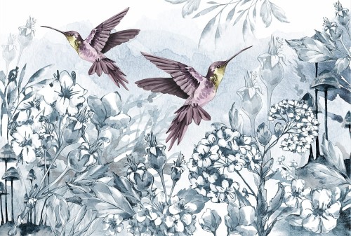 kolibry.jpg