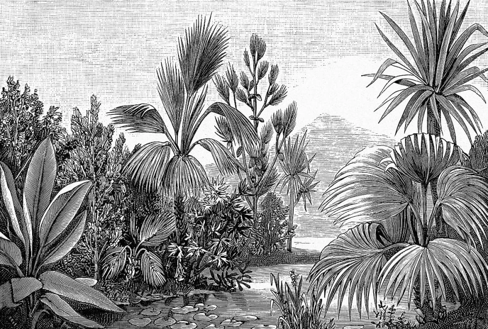 368x2480_salva_wz3.jpg