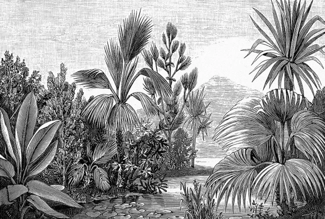 368x2480_salva_wz3.jpg