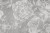 gris_wytworypl.jpg