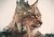 wild1_wytworypl.jpg