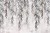 wytwory_palmyliscie_wz4.jpg