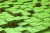 wytwory_minecraft_wz2.jpg